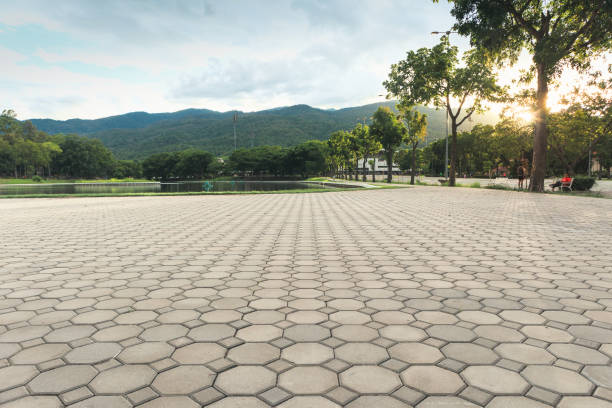 Best Driveway Paver Sealing  in Casselton, ND