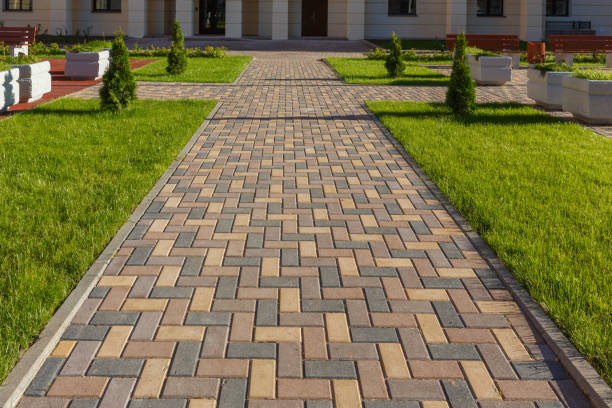 Best Driveway Paving Contractor  in Casselton, ND